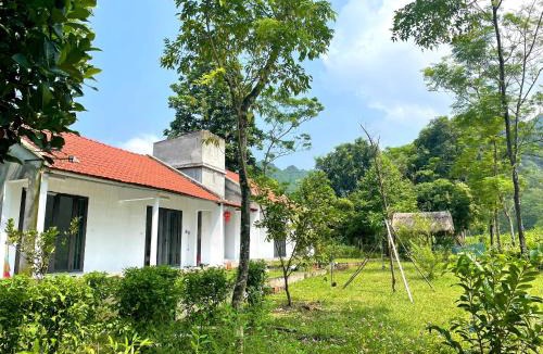 Gia Vien Apartment | The Garden Homestay