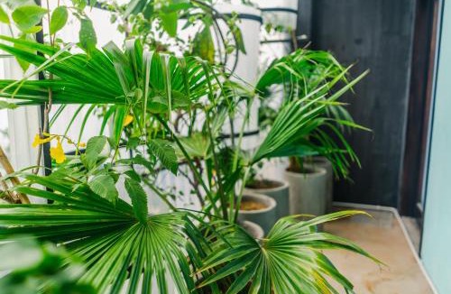 Hai Chau Hotel | The Garden Hotel & Apartment