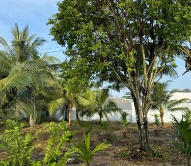 Chau Thanh House | The Grand Coco Homestay