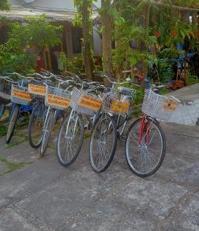 Dien Duong House | The Natural Bungalow