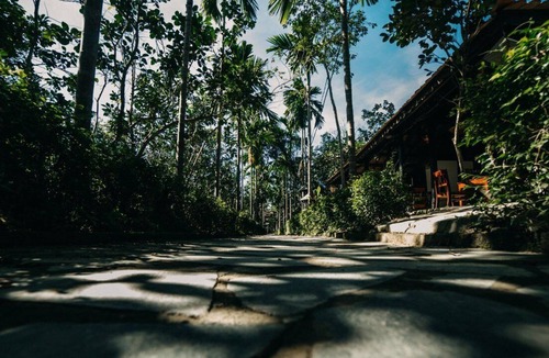 Hue House | Thuy Bieu Homestay - Truly Enjoy in Hue city, Vietnam