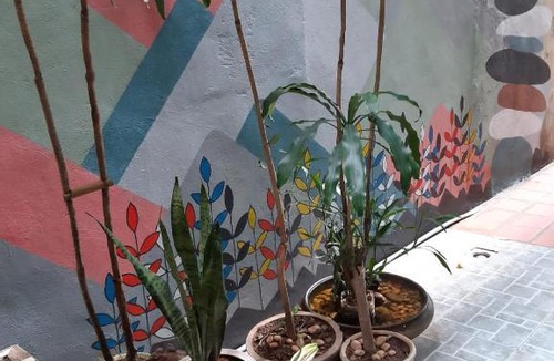 Bui Thi Xuan House | Tonkin Homestay