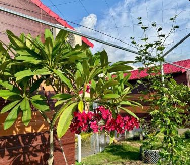 Tam Nong Apartment | Tràm Chim Farmstay