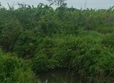 Phu Cu Other | Trại luân