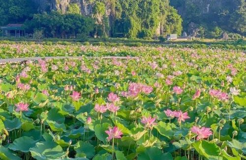 Hoa Lu Bed & Breakfast | Trang An Viet Anh Homestay