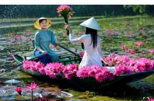 Hoa Lu Bed & Breakfast | Trang An Viet Anh Homestay