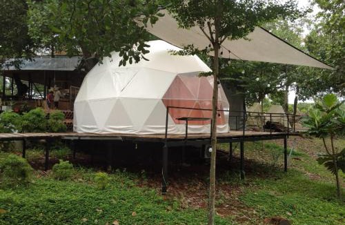 Dinh Quan Other | Tropical eglamping