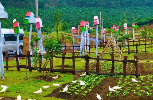 Bao Lam Other | Vườn An Nhiên - Bảo Lâm
