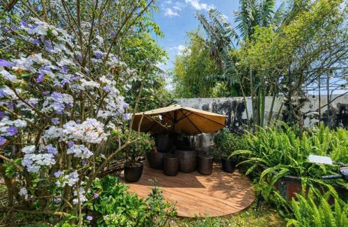 Kon Plong Resort | Vườn Trà HomeStay Măng Đen