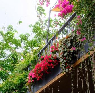 Phuoc Thuan Hotel | Vanilla Ho Tram Homestay