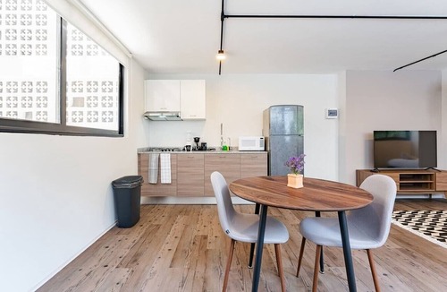 Hipodromo Apartment | VH | Loft Condesa + wifi and roof + washer | 253