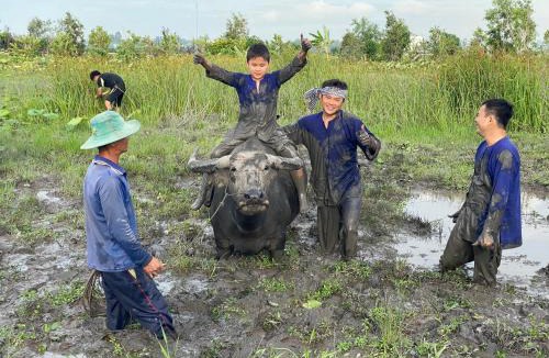 Tam Nong Other | Việt Mekong Farmstay