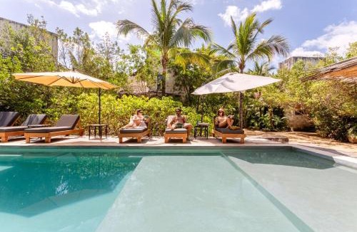 Zona Hotelera Cabin | Vida Silvestre Tulum