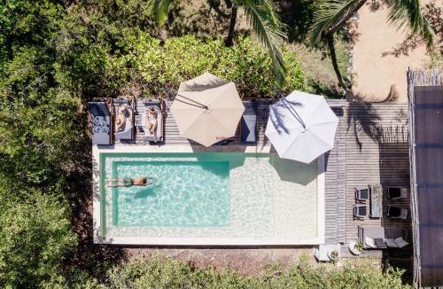 Zona Hotelera Cabin | Vida Silvestre Tulum