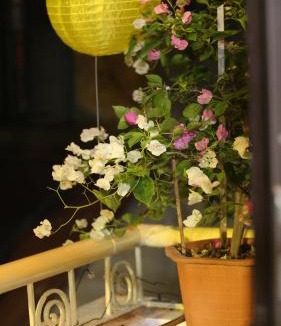 Hang Trong Apartment | Vietnam Travelers Home 2 with Cozy Private Balcony