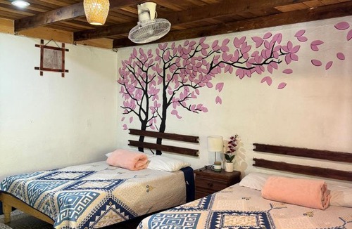 Xilitla House | Villa Olaya Completo