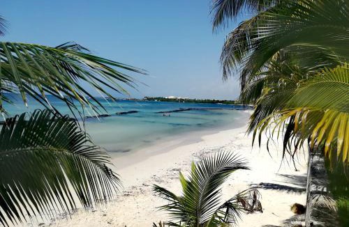 Puerto Aventuras Apartment | Villas Picalu Lodge