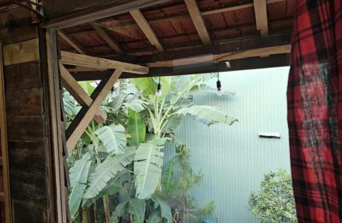 Pleiku Hotel | Voi Vui Vẻ Homestay