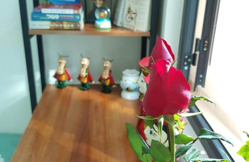 Tu Liem House | Water puppet nest - private and cozy space for you
