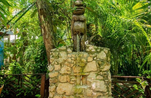 Xcaret RV Rental | Xcaret Jungle: Monkey Haven Stay