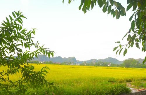 Hoa Lu House | Y Van Cac Homestay Ninh Binh Art Heritage Rice Field