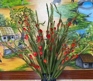 Le Thuy House | yellow house homestay