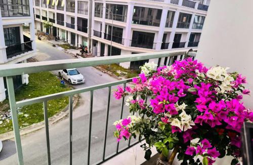 Tu Son Apartment | Yuki Home Vsip