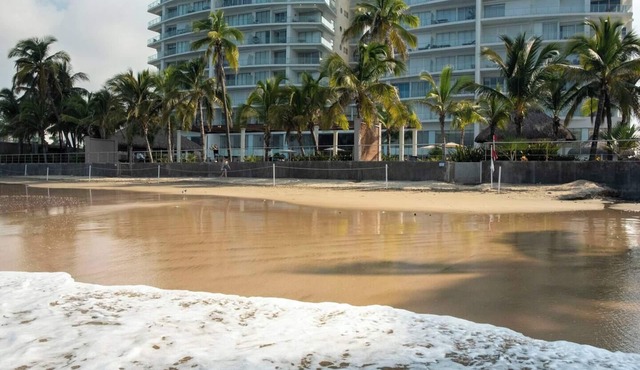 2BR condo right on the beach - Zona Dorada