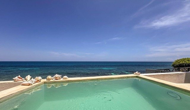 2BR w/Private Ocean View Dipping Pool