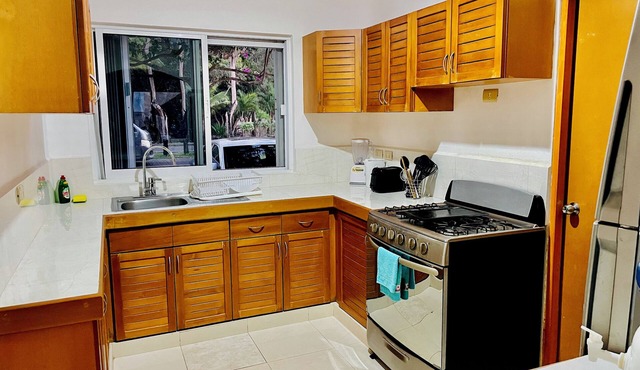 30 Pax villa in fabulous Playa del Carmen with AC