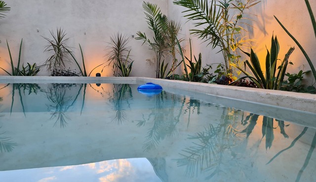 300MB/S Wifi with an amazing pool 3 Bed 2.5bath house