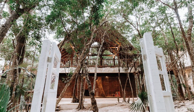 4 Jungle Villas, sleeps up to 32 people!