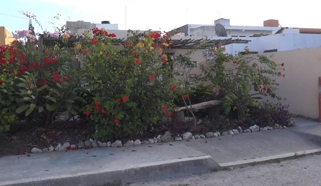 Affordable Vacation Home Awaits You In Mahahual