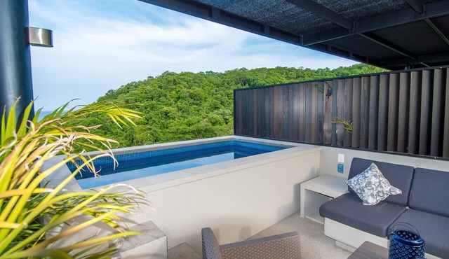 Agaves 204