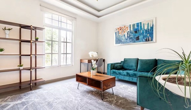 Amazing Apartment in Condesa