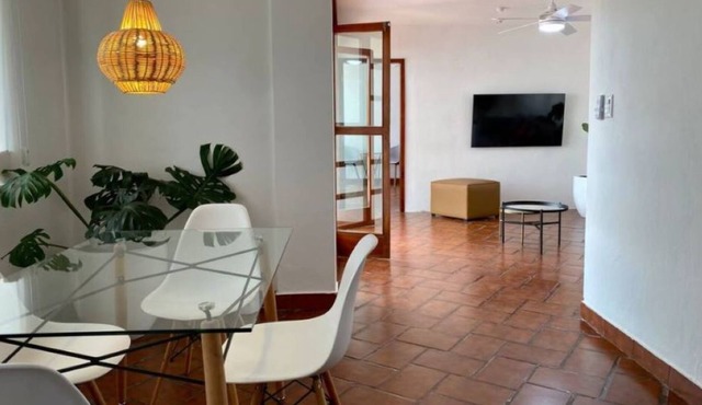 Amazing one-bedroom apartment with private terrace