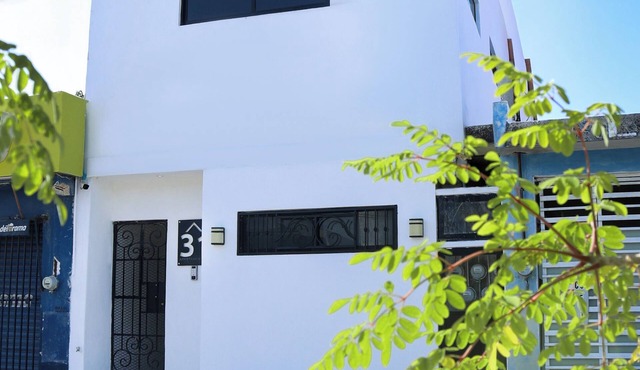 Apartamentos 31