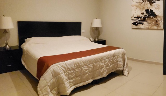 Art Boutique Hotel Aguascalientes - Double Suite 2