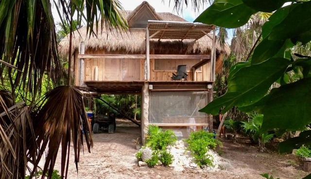 Artisanal Eco Friendly Private Cabin-Casa Ixchel