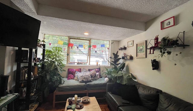 Authentic urban jungle in Coyoacán, quiet and well-connected neighborhood