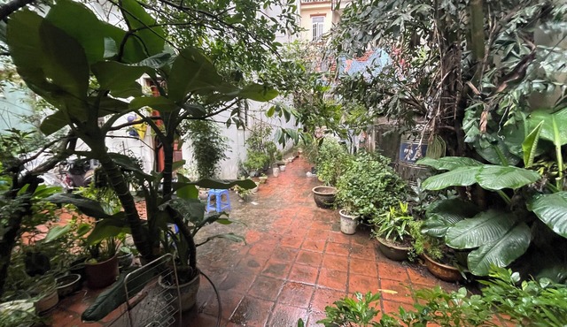 Ba Dinh Le rêveur Homestay