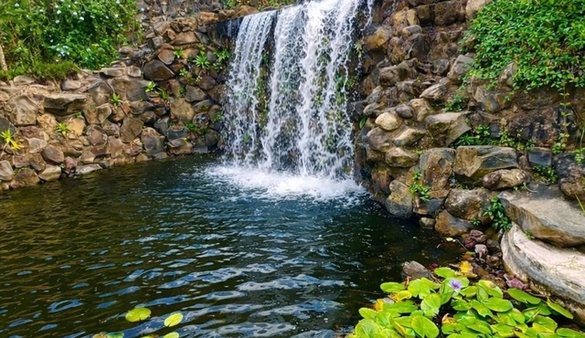 Bambu Villas Wellness Center