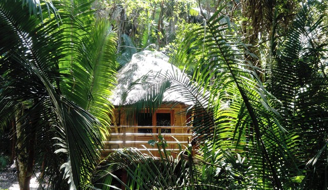 Basil Cabin 2. Romantic Ecolodge in the jungle by the sea
