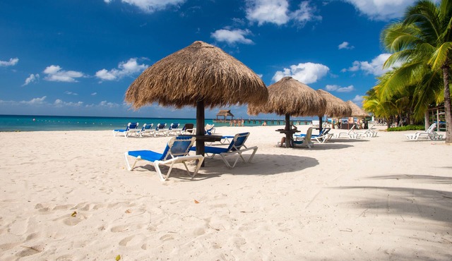 Beach Front Caribbean Paradise - Cozumel Mexico - Casa de Case #7230 RR