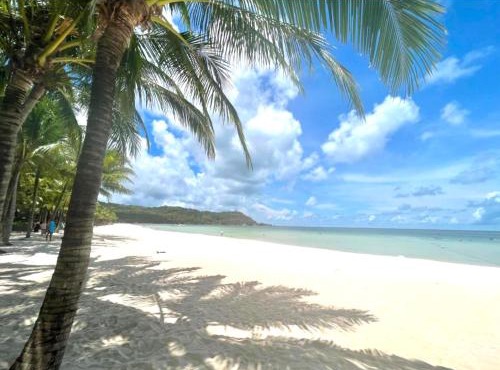 Beach White Hotel