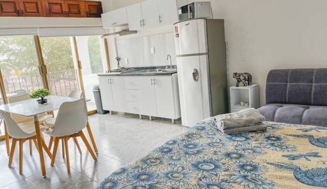 Beachfront Studio in PV