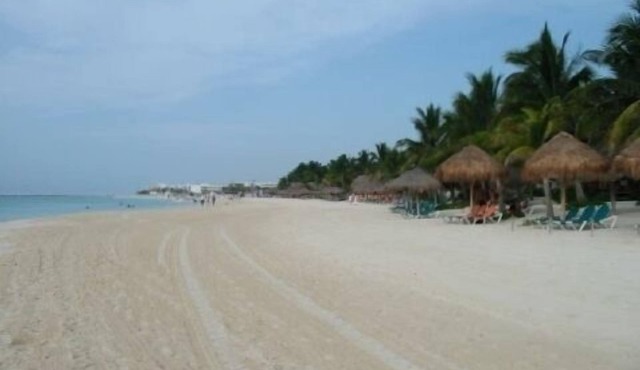 Beautiful 2 Bedroom Condo Steps Away from Beach and 5th Avenue