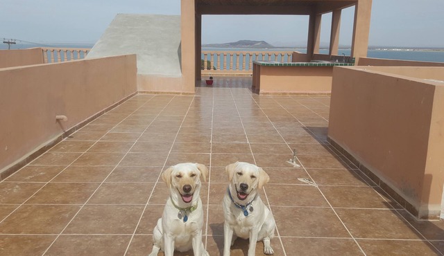 Beautiful Ocean Views and Spacious Patios. Enclosed Vehicle Parking .