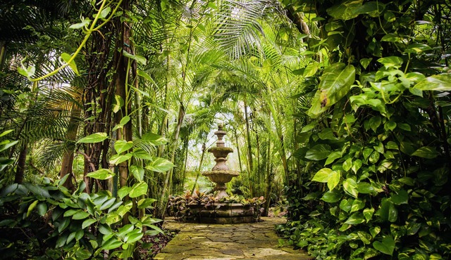 BEAUTIFUL VILLA MEXICAN HACIENDA STYLE, WALKING DISTANCE TO XCARET PARKS