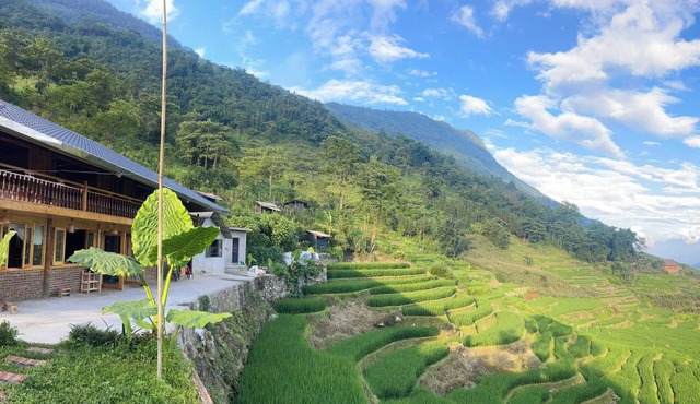 Bees Homestay Sapa & Trekking